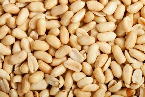 تصویر 2 از معرفی بادام زمینی کره گیری + بهترین قیمت خرید